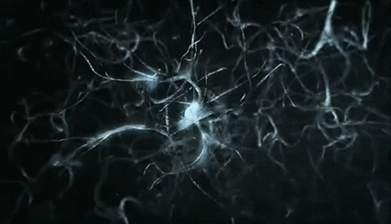 Neuronios GIF | Gfycat