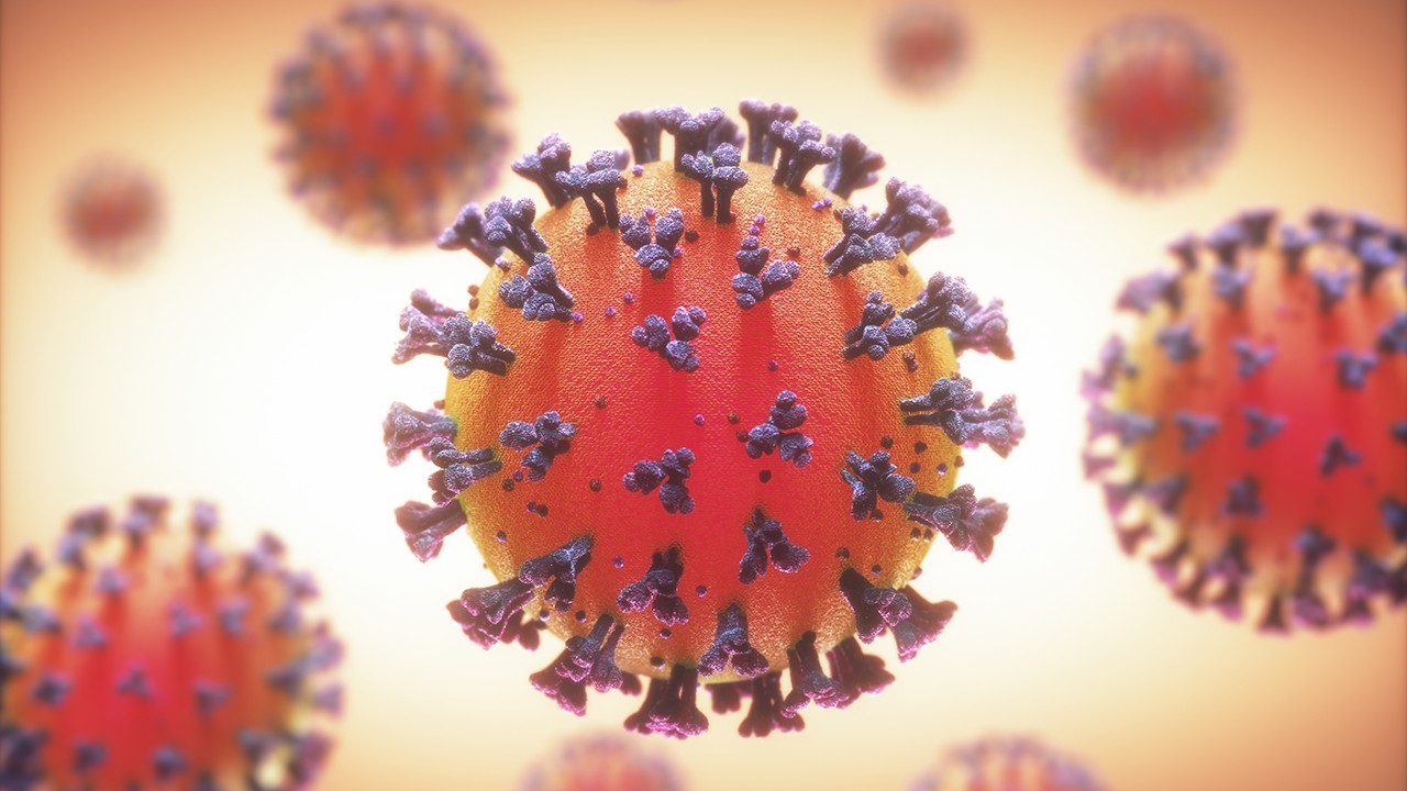 Mutação em proteína do novo coronavírus facilita infecção por Covid-19 -  Revista Galileu | Ciência