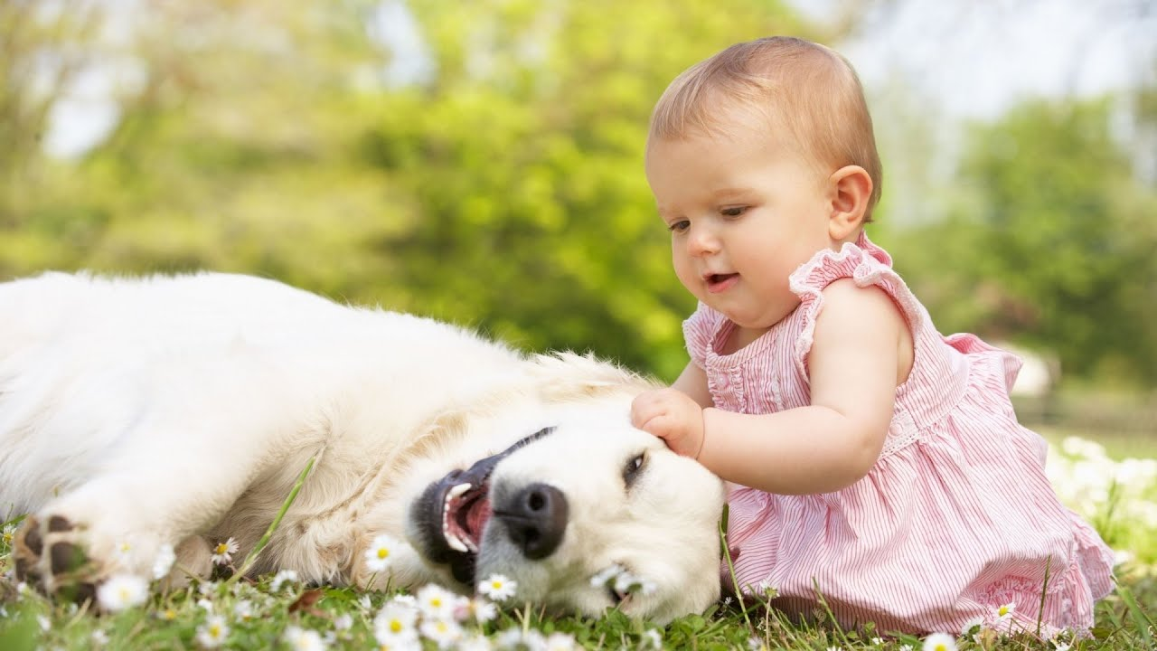 Fotos emocionantes que provam por que os bebês precisam de cães