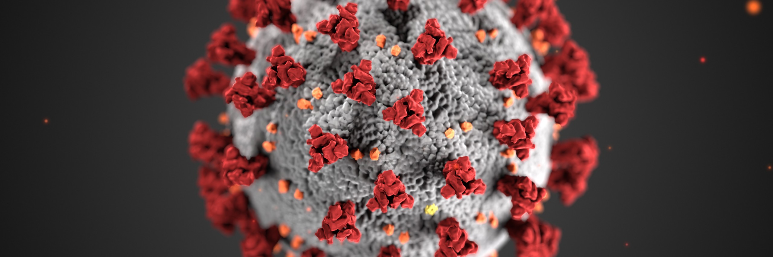 Cientistas criam receptor celular que impede infecção por Sars-CoV-2 -  Revista Galileu | Ciência