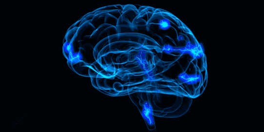 Cerebro | Sequestro, Neurociência, Choque elétrico