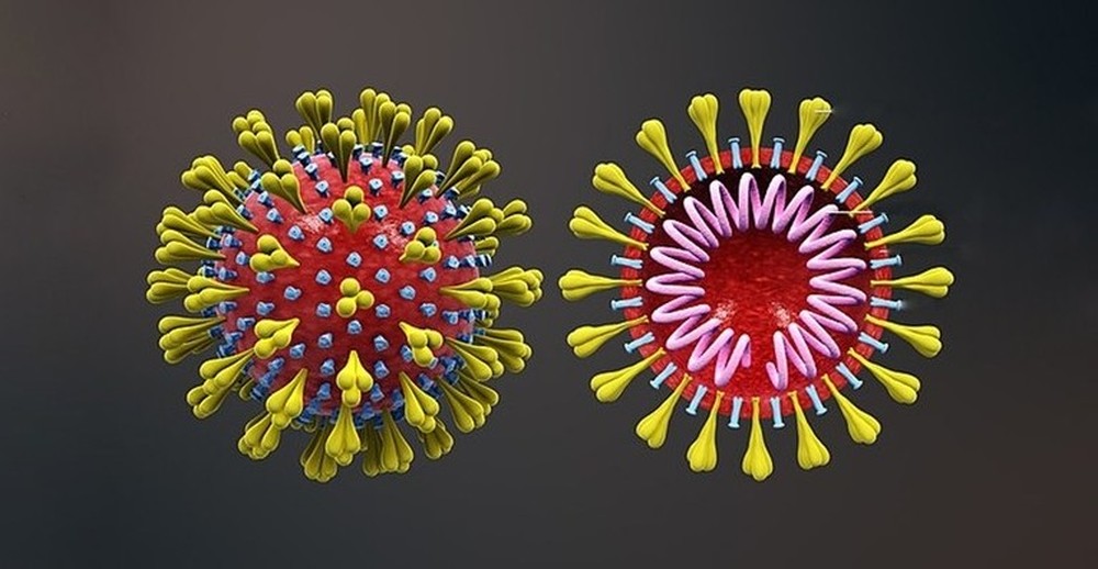 G1 on Twitter: "Anticorpo que neutraliza o novo coronavírus é identificado  por cientistas em testes de laboratório https://t.co/WWvAqHLtYg #G1…  https://t.co/K1uQgkjMaq"