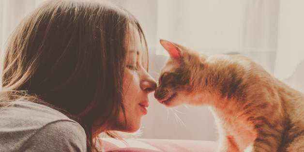 Mulheres que amam gatos são mesmo loucas? - BICHOFINO