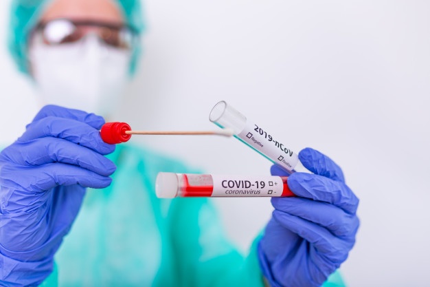 Premium Photo | Test for coronavirus covid-19. female doctor or nurse doing lab analysis of a nasal swab in a hospital laboratory.