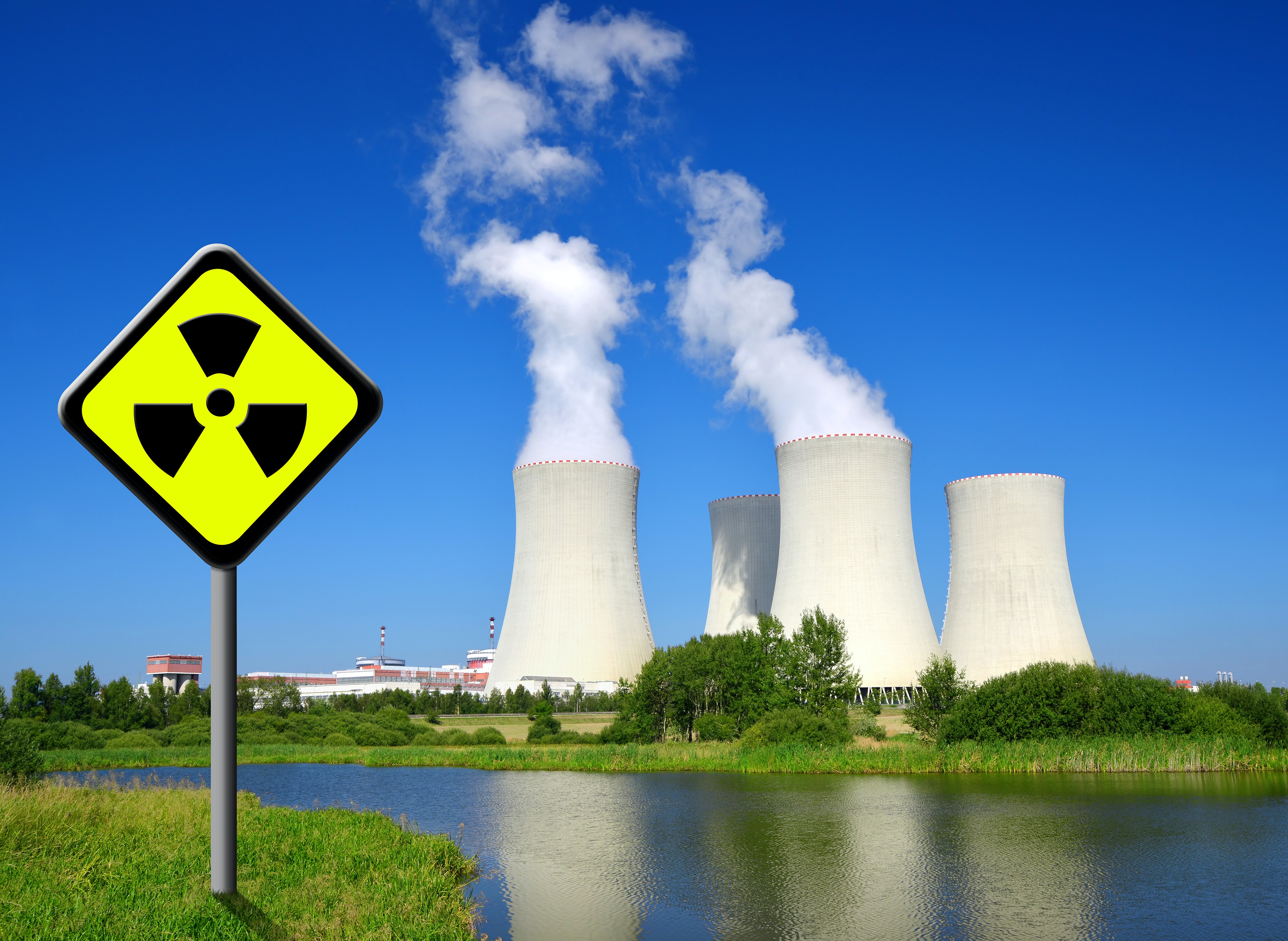 Small nuclear power reactors: Future or folly?