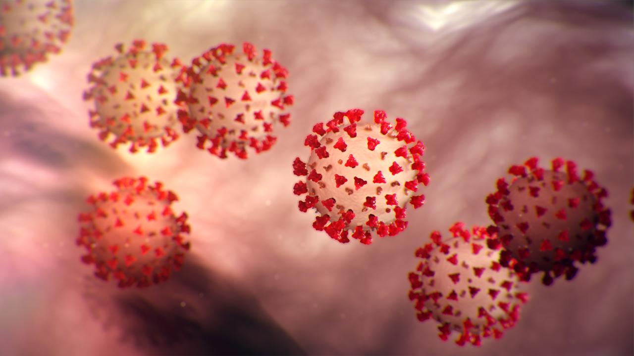 Pessoas do tipo sanguíneo A podem ser mais vulneráveis ao coronavírus, segundo cientistas chineses - Mundo - Diário do Nordeste