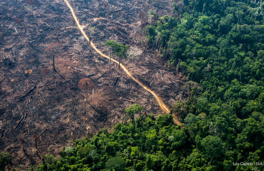 O descontrole deliberado do desmatamento na Amazônia | ISA - Instituto  Socioambiental