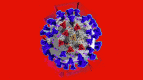 Corona Corona Virus GIF - Corona CoronaVirus Covid19 - Discover & Share GIFs
