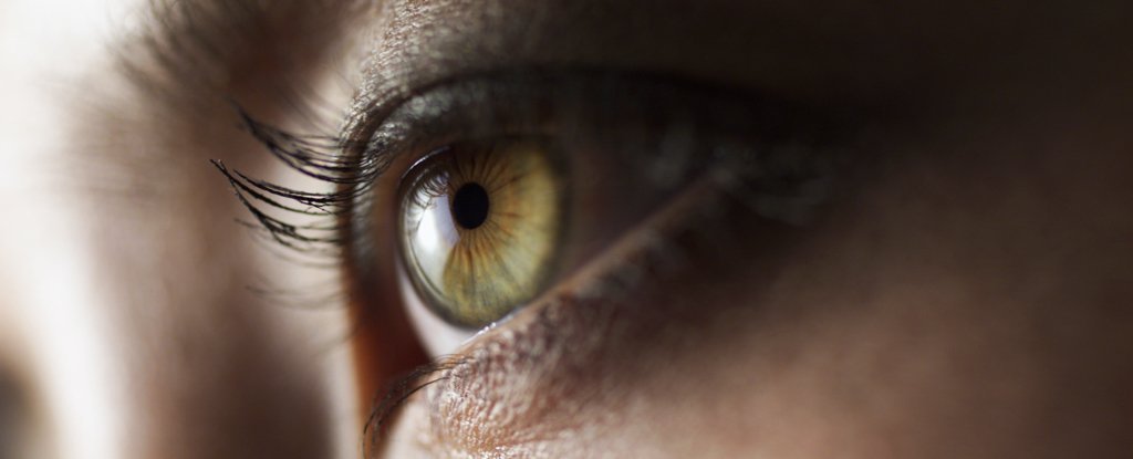 Cientistas encontram tecido no olho humano que parece resistente ao SARS-CoV-2