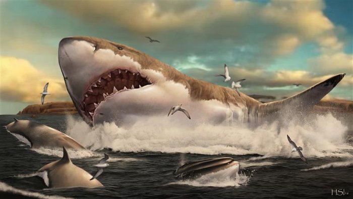 O que selou o destino do tubarão Megalodon gigante? Seus dentes antigos podem revelar a resposta