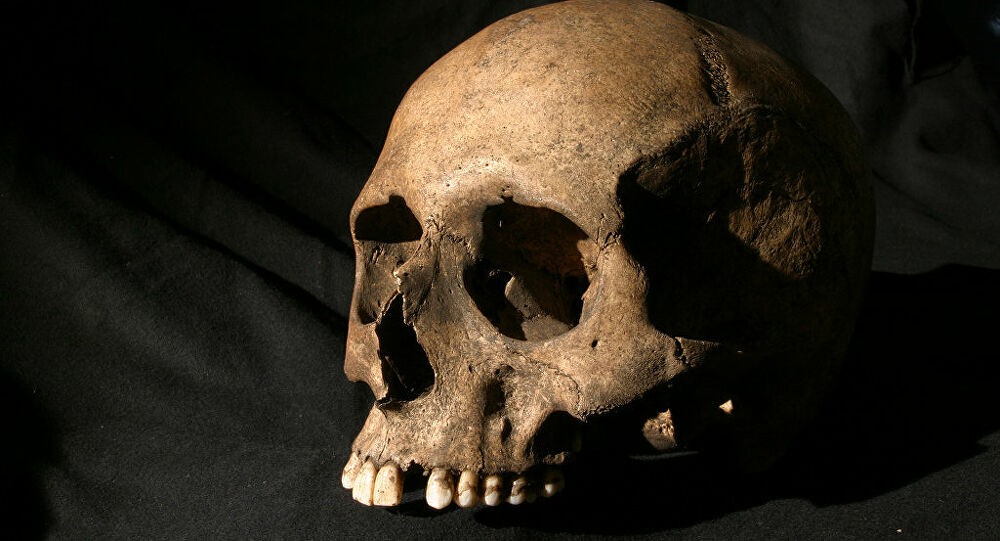 Crânio controverso de 7 milhões de anos pode não ter sido tão humano quanto pensávamos