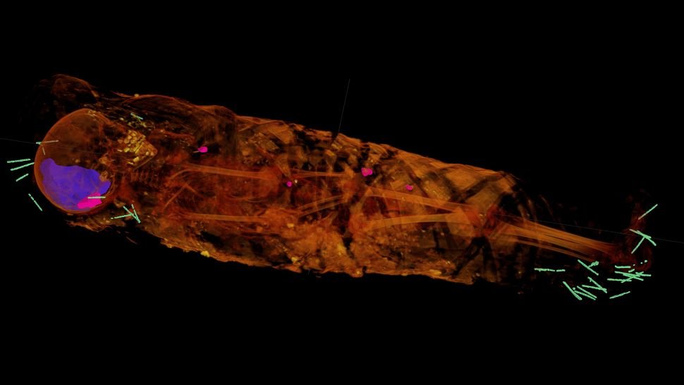 Radiografias de múmias egípcias revelam uma descoberta surpreendente