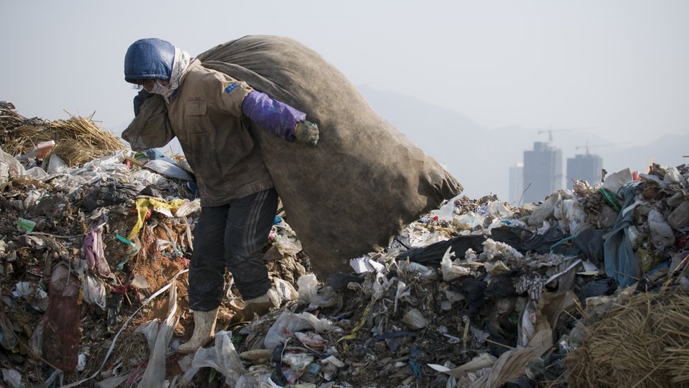 Plásticos biodegradáveis ​​da China 'não conseguem resolver a crise de poluição'