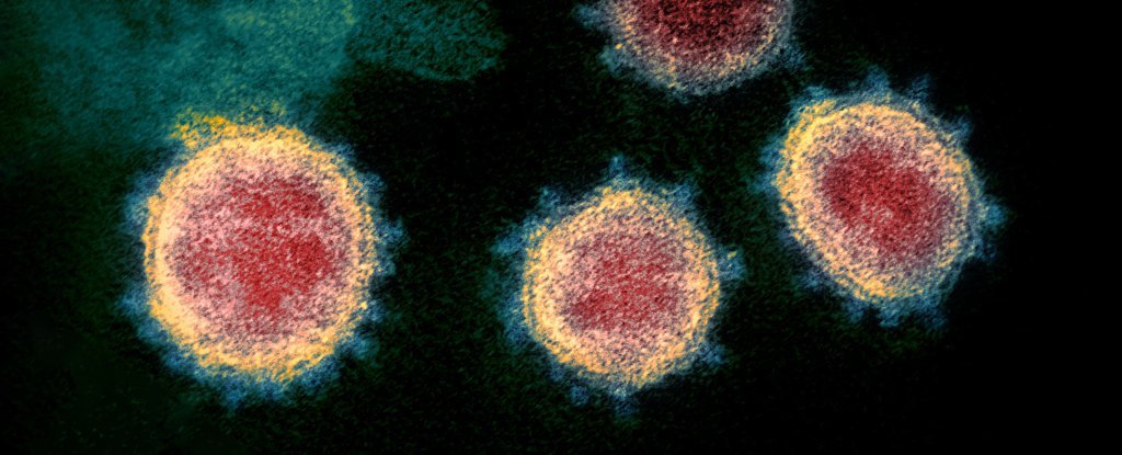 Cientistas do Reino Unido pedem cautela quanto a alegações de uma cepa SARS-CoV-2 particularmente contagiosa