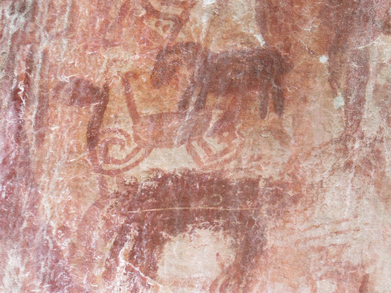 Arte rupestre é encontrada nas cavernas das profundezas da floresta Amazônia
