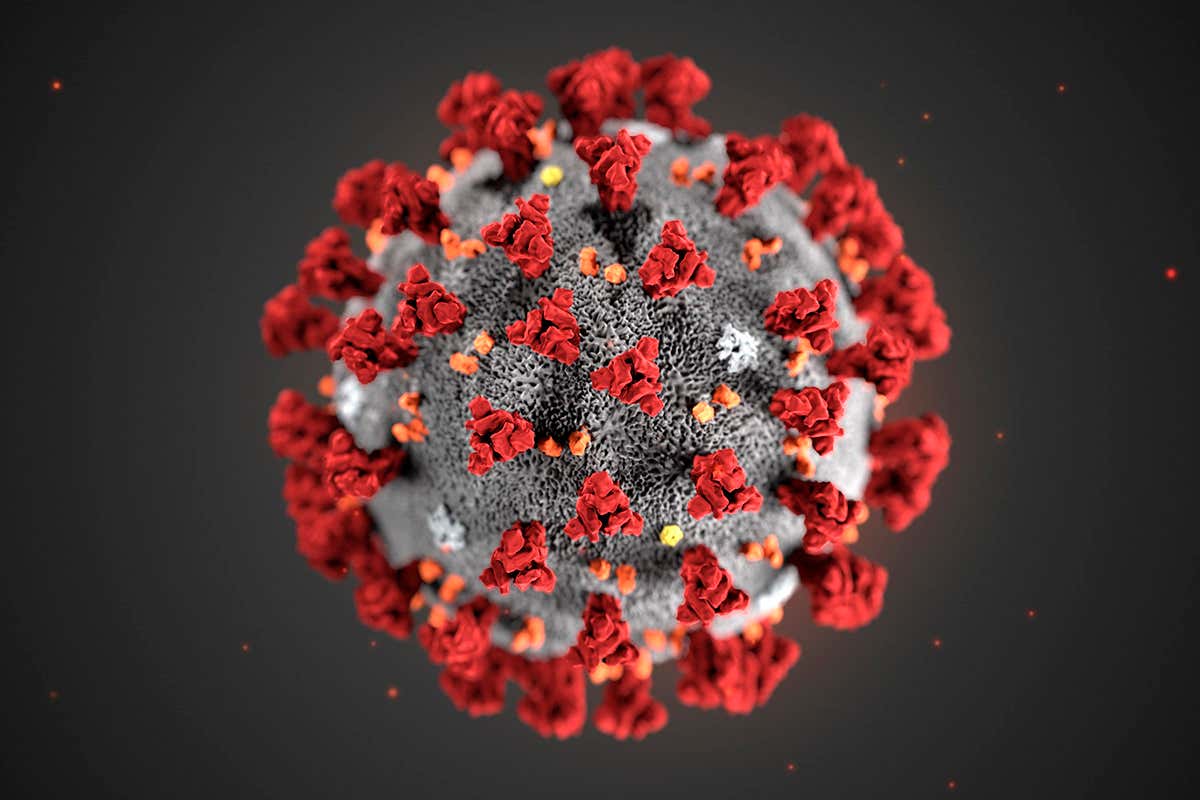 A OMS pede uma resposta mais ousada contra a nova variante do coronavírus