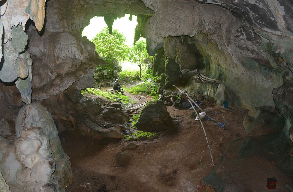 Indonésia: arqueólogos encontram pinturas em cavernas com animais mais antigos do mundo