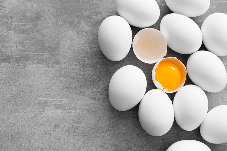 Gemas de ovo estão ajudando os cientistas a entender como prevenir lesões cerebrais